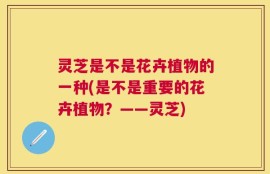 灵芝是不是花卉植物的一种(是不是重要的花卉植物？——灵芝)