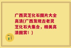 广西灵芝化石图片大全高清(广西发现古老灵芝化石大集合，精美高清图赏！)
