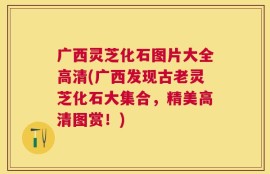 广西灵芝化石图片大全高清(广西发现古老灵芝化石大集合，精美高清图赏！)