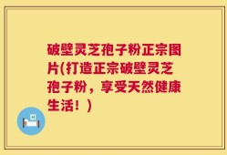 破壁灵芝孢子粉正宗图片(打造正宗破壁灵芝孢子粉，享受天然健康生活！)