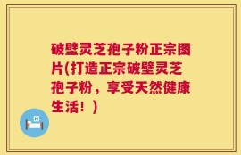 破壁灵芝孢子粉正宗图片(打造正宗破壁灵芝孢子粉，享受天然健康生活！)