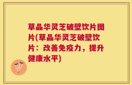 草晶华灵芝破壁饮片图片(草晶华灵芝破壁饮片：改善免疫力，提升健康水平)