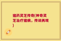 猪药灵芝传奇(神奇灵芝治疗猪病，传说再现)
