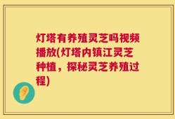 灯塔有养殖灵芝吗视频播放(灯塔内镇江灵芝种植，探秘灵芝养殖过程)