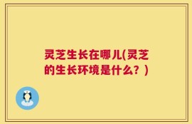 灵芝生长在哪儿(灵芝的生长环境是什么？)