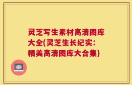 灵芝写生素材高清图库大全(灵芝生长纪实：精美高清图库大合集)