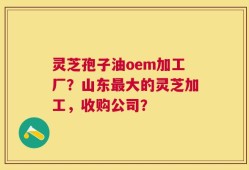 灵芝孢子油oem加工厂？山东最大的灵芝加工，收购公司？