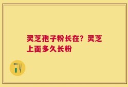 灵芝孢子粉长在？灵芝上面多久长粉