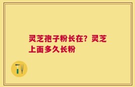 灵芝孢子粉长在？灵芝上面多久长粉