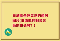 白酒能杀死灵芝的菌吗图片(白酒能抑制灵芝菌的生长吗？)