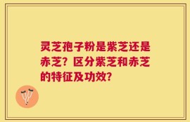 灵芝孢子粉是紫芝还是赤芝？区分紫芝和赤芝的特征及功效？
