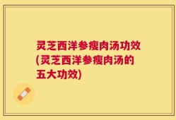 灵芝西洋参瘦肉汤功效(灵芝西洋参瘦肉汤的五大功效)