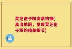 灵芝孢子粉高清拍摄(高清拍摄，呈现灵芝孢子粉的精美细节)