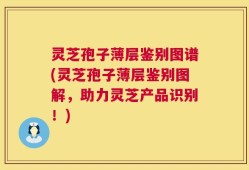 灵芝孢子薄层鉴别图谱(灵芝孢子薄层鉴别图解，助力灵芝产品识别！)