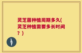灵芝菌种植周期多久(灵芝种植需要多长时间？)