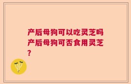 产后母狗可以吃灵芝吗产后母狗可否食用灵芝？
