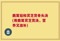 鹿茸菇和灵芝煲骨头汤(用鹿茸灵芝煲汤，营养又滋补)