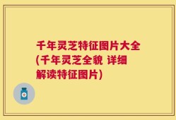 千年灵芝特征图片大全(千年灵芝全貌 详细解读特征图片)