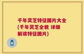 千年灵芝特征图片大全(千年灵芝全貌 详细解读特征图片)