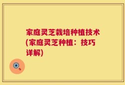 家庭灵芝栽培种植技术(家庭灵芝种植：技巧详解)