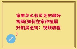 家里怎么栽灵芝树最好视频(如何在家种植最好的灵芝树：视频教程)
