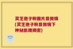 灵芝孢子粉图片显微镜(灵芝孢子粉显微镜下神秘肌理揭密)
