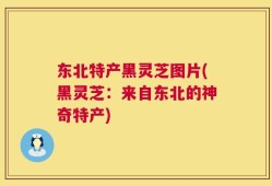 东北特产黑灵芝图片(黑灵芝：来自东北的神奇特产)