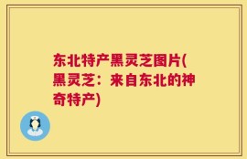 东北特产黑灵芝图片(黑灵芝：来自东北的神奇特产)