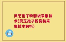 灵芝孢子粉套袋采集技术(灵芝孢子粉袋装采集技术解析)