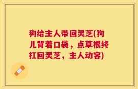 狗给主人带回灵芝(狗儿背着口袋，点草根终扛回灵芝，主人动容)