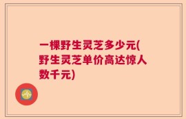 一棵野生灵芝多少元(野生灵芝单价高达惊人数千元)