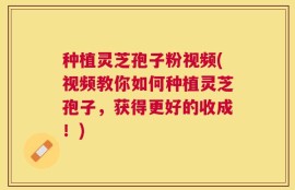 种植灵芝孢子粉视频(视频教你如何种植灵芝孢子，获得更好的收成！)