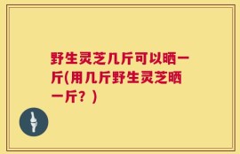 野生灵芝几斤可以晒一斤(用几斤野生灵芝晒一斤？)
