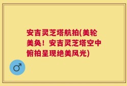 安吉灵芝塔航拍(美轮美奂！安吉灵芝塔空中俯拍呈现绝美风光)