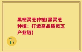 黑梗灵芝种植(黑灵芝种植：打造高品质灵芝产业链)