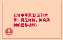 云轩本草灵芝(云轩本草：灵芝详解，神奇药材的营养功效)