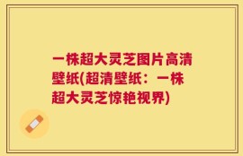 一株超大灵芝图片高清壁纸(超清壁纸：一株超大灵芝惊艳视界)