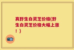 真野生白灵芝价格(野生白灵芝价格大幅上涨！)