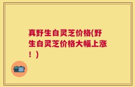真野生白灵芝价格(野生白灵芝价格大幅上涨！)