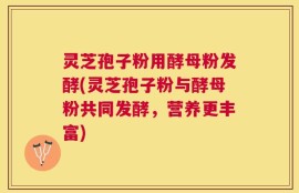 灵芝孢子粉用酵母粉发酵(灵芝孢子粉与酵母粉共同发酵，营养更丰富)