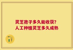 灵芝孢子多久能收获？人工种植灵芝多久成熟
