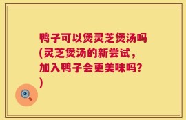 鸭子可以煲灵芝煲汤吗(灵芝煲汤的新尝试，加入鸭子会更美味吗？)