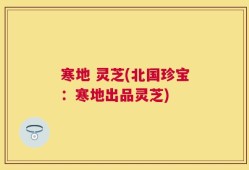 寒地 灵芝(北国珍宝：寒地出品灵芝)