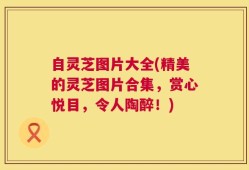 自灵芝图片大全(精美的灵芝图片合集，赏心悦目，令人陶醉！)