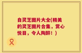 自灵芝图片大全(精美的灵芝图片合集，赏心悦目，令人陶醉！)