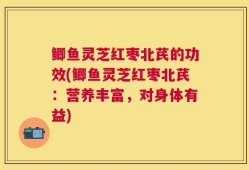 鲫鱼灵芝红枣北芪的功效(鲫鱼灵芝红枣北芪：营养丰富，对身体有益)