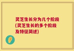 灵芝生长分为几个阶段(灵芝生长的多个阶段及特征简述)