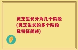 灵芝生长分为几个阶段(灵芝生长的多个阶段及特征简述)