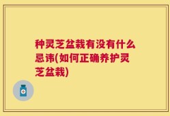 种灵芝盆栽有没有什么忌讳(如何正确养护灵芝盆栽)