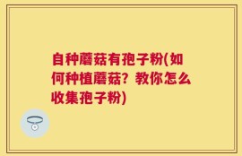 自种蘑菇有孢子粉(如何种植蘑菇？教你怎么收集孢子粉)